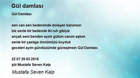 Gül Damlası Şiiri Mustafa Seven Kalp