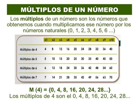 Que Son Los Divisores En Matematicas Pics Talas