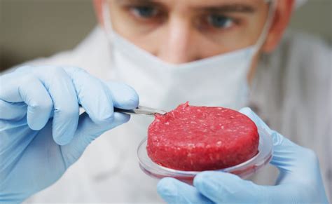 Labgrown And Plantbased Meat The Science Psychology And Future Of