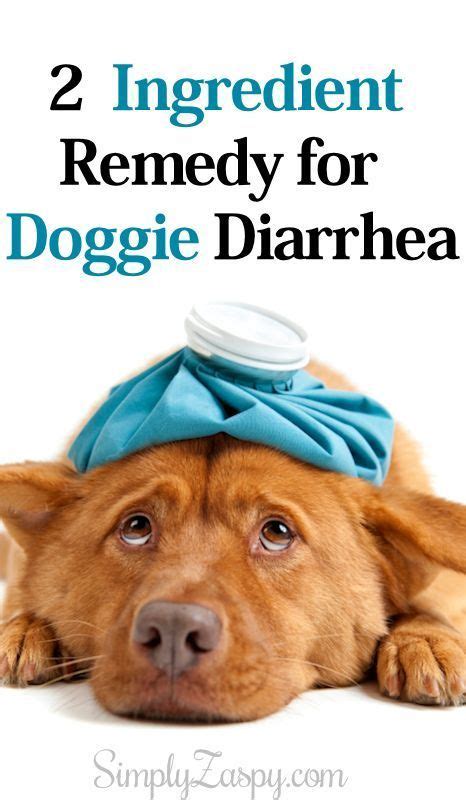 Diarrhea Remedies Diarrhea In Dogs Dog Diarrhea Remedy