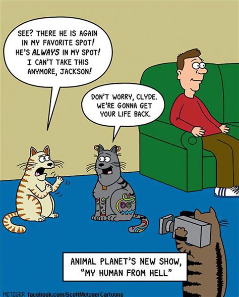 40 funny cat comics by scott metzger that will make every cat owner cry with laughter viraldice