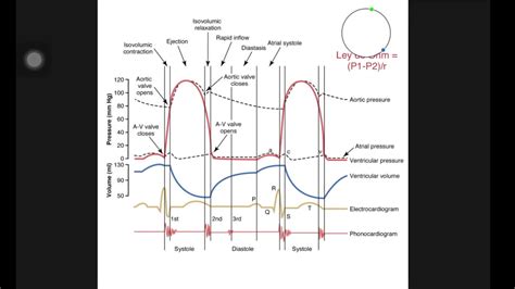 Diagrama De Wiggers Fisiología Cardiaca Youtube