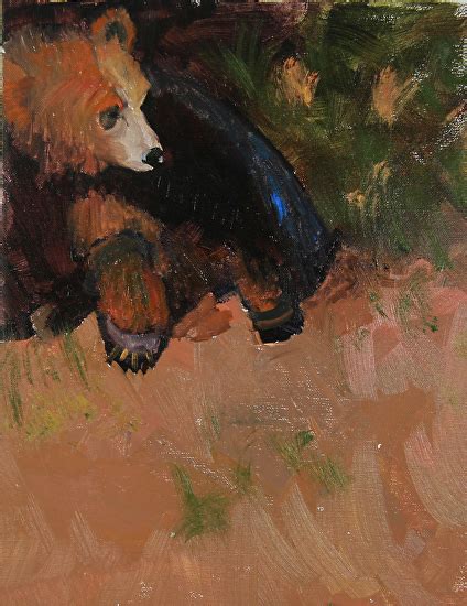 Daily Painters Of Colorado Grizzly Sunning Himself Original Grizzly