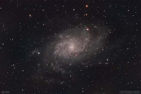 Photo M33 Triangulum Galaxy November 18 2021