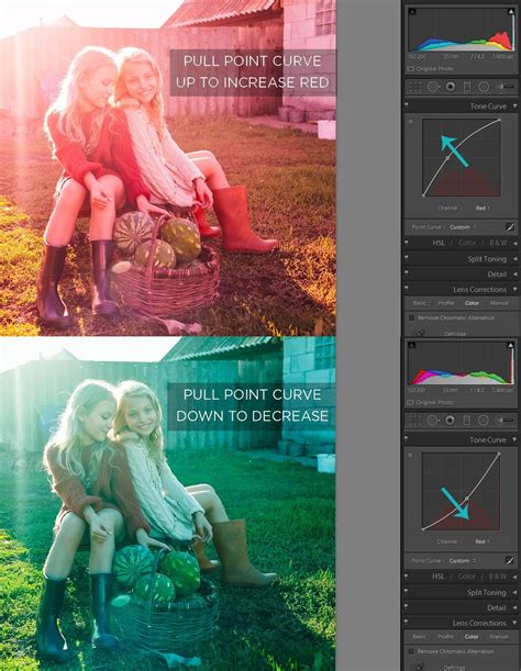 I find my mouse (or my hand) isn't steady and it's coming to every version of lightroom, and adobe camera raw. How to Use the Tone Curve in Lightroom | Pretty presets ...