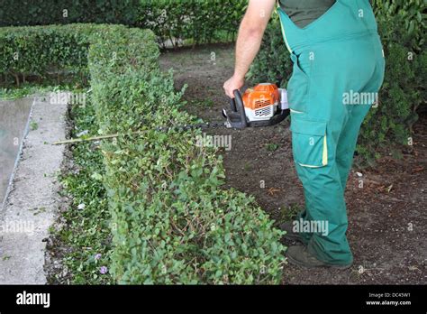 Trim Hedge Hi Res Stock Photography And Images Alamy