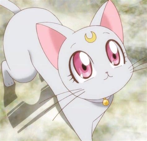 Pin By ଘ੭ ᐛ ♡ On Sailor Moon Sailor Moon Cat Sailor Chibi Moon