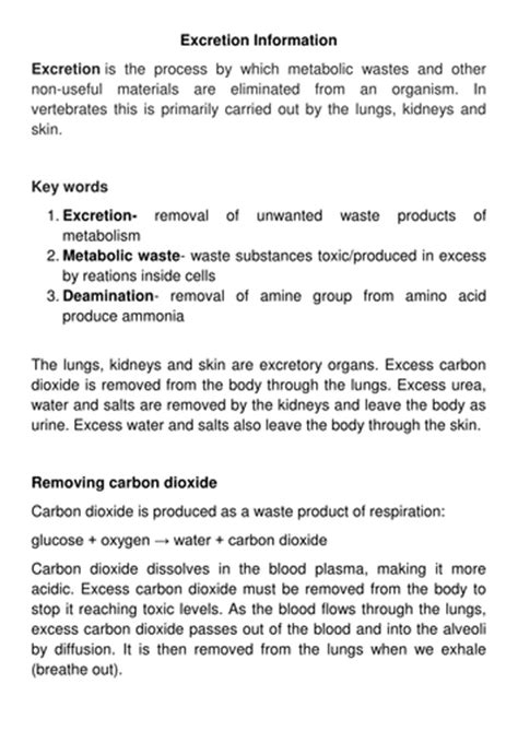 New Ocr A Level Biology The Liver Homeostasis And Excretion Lesson