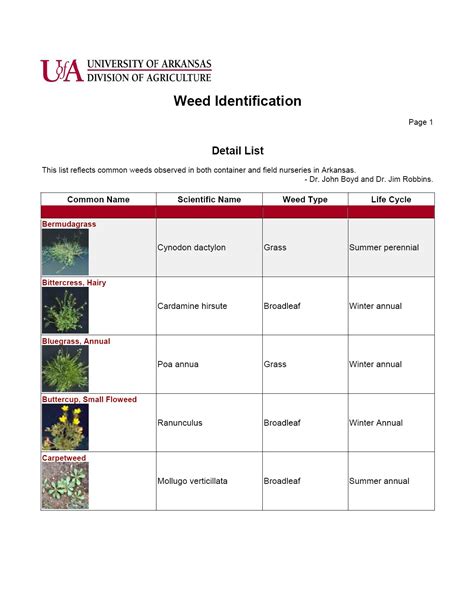 Weed Identification Chart