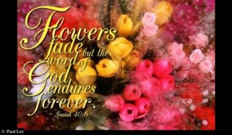 If you're looking for the best bible verses to help you through the hard times, here's a collection of our favourite words of encouragement to help you. 16+ Bible Verses About Flowers - Beautiful and Meaningful ...