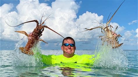 How To Catch Clean Cook Lobsters In Totally New Area Florida Keys