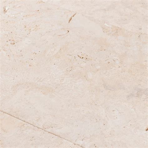 Semi Polished Coral Stone Tile Floor And Decor Coral Stone Stone