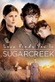 REPELIS VER Un extraño en Sugarcreek (2014) Película Completa Online en ...