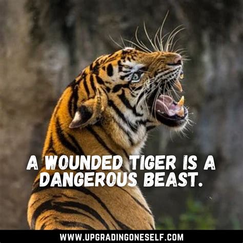 Tiger Quotes 3 Upgrading Oneself