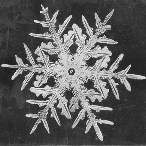 Types Of Snowflakes And Their Different Patterns Hubpages