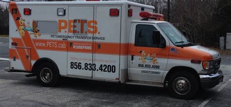 Ground pet transport specialist (pet transportation near me) will keep you at ease by sending you regular photo and video updates. This Emergency Transport Service May Be Your Pet's Best ...
