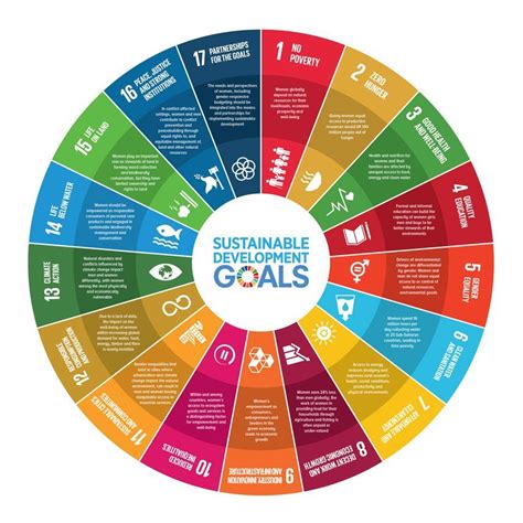 The Sustainable Development Goals Sustainable Development Goals