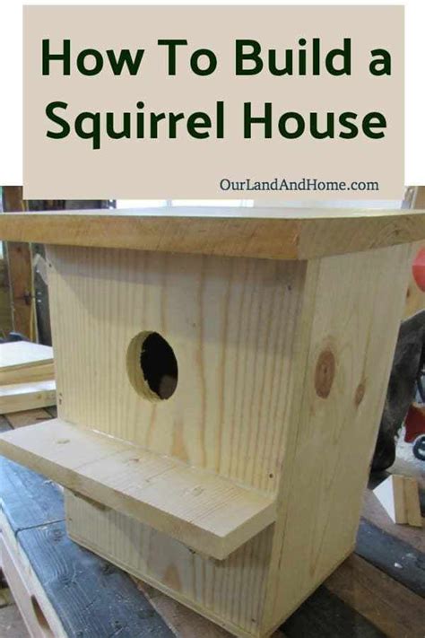 How To Build A Squirrel House Bird House Kits Bird Houses Diy