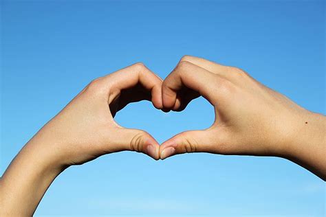 Person Doing Hart Hand Sign Heart Hands Love Romance Heart Shape
