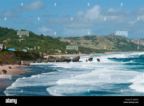 barbados mcphoto bathsheba playa fotografías e imágenes de alta resolución alamy