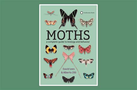 Why Are Moths Are Attracted To Light
