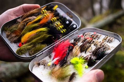 The Best Fly Boxes On The Market Buyer S Guide Into Fly Fishing