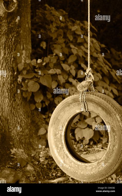 Tire Swing Hanging From Tree Hi Res Stock Photography And Images Alamy