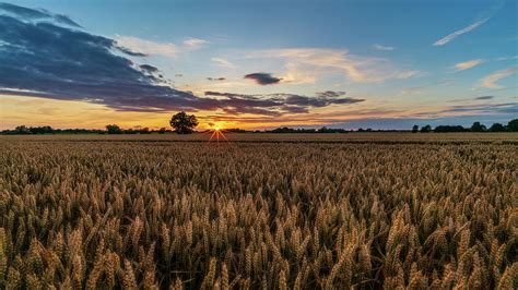 Wheat Field Sunset Photograph By James Billings Pixels