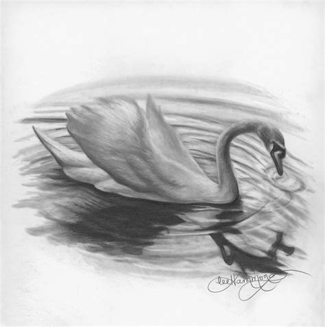 39 Graphite Pencil Art Drawing Background