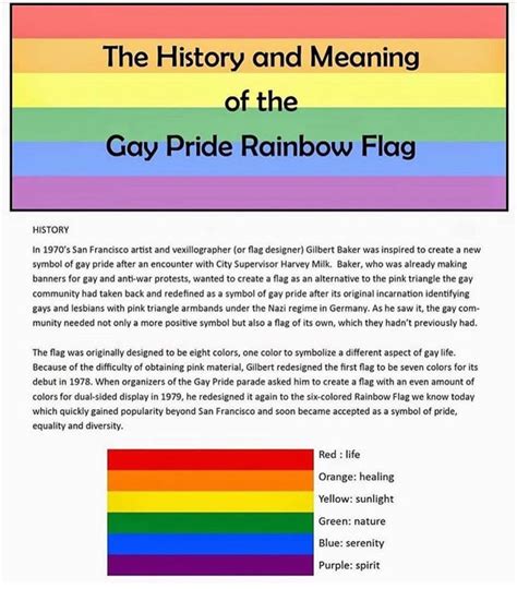 Commonly Used Lgbtq Flags And Their Meaning Secret