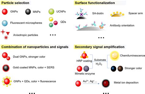 Advances In Nanoparticlebased Lateral Flow Immunoassay For Pointofcare Testing Lou