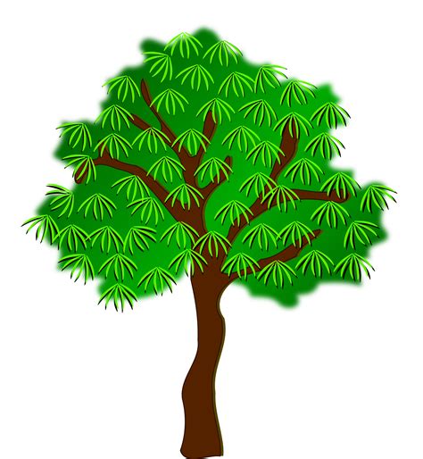Clip Art Tree Drawing Free Image Download
