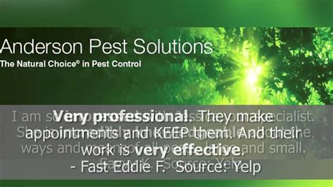 Anderson Pest Solutions Reviews Chicago Il Pest Control Reviews