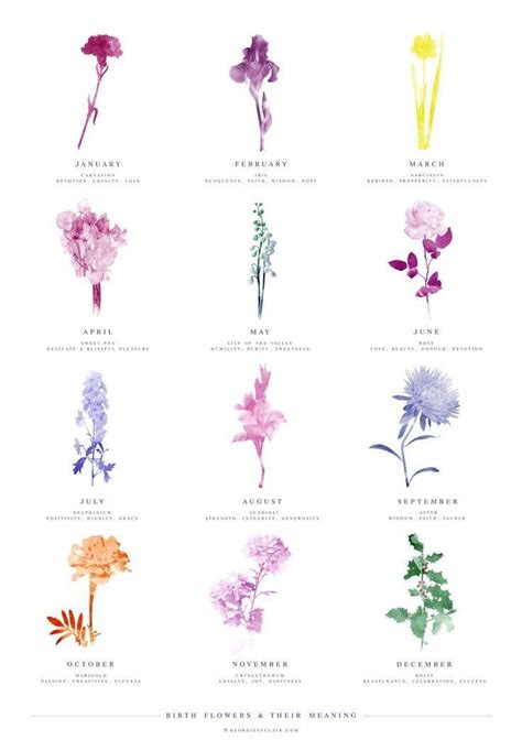 Show your love for someone by gifting them their own personalized flower. Pin by Susie Mastrofsky on tattoo in 2020 | Birth flower ...