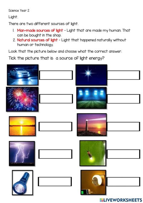 Properties Of Light Worksheet Grade 4