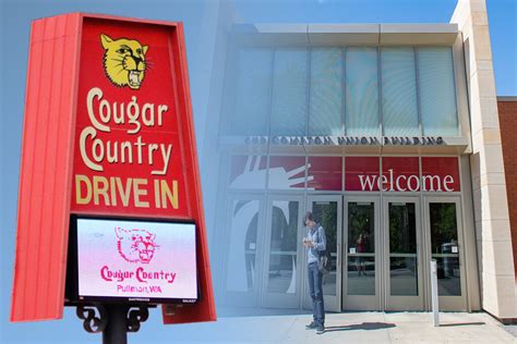 Cougar Country Is Coming To The Cub Wsu Insider