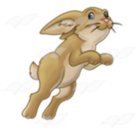 Download High Quality Rabbit Clipart Jumping Transparent Png Images