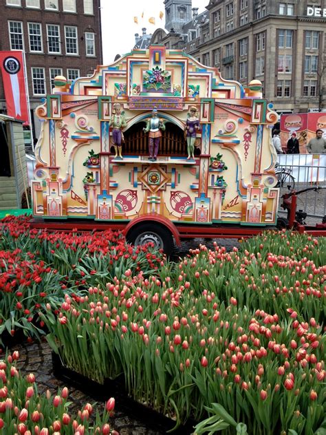 When In Amsterdam Amsterdams Tulip Day