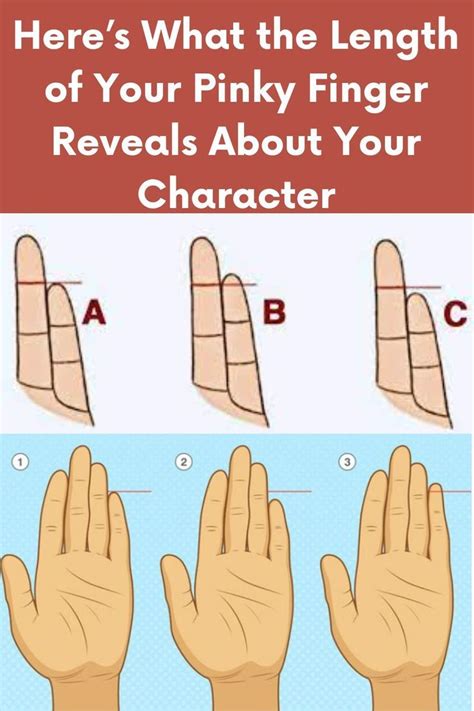 Heres What The Length Of Your Pinky Finger Reveals About Your Character Palmistry Reading
