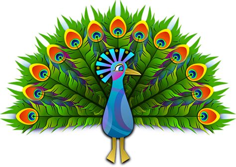 Over 100 Free Peacock Vectors Pixabay Pixabay