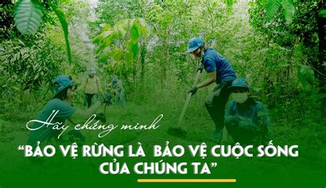 Thông điệp Kêu Gọi Chung Tay Bảo Vệ Rừng Và Bảo Vệ Hệ Sinh Thái