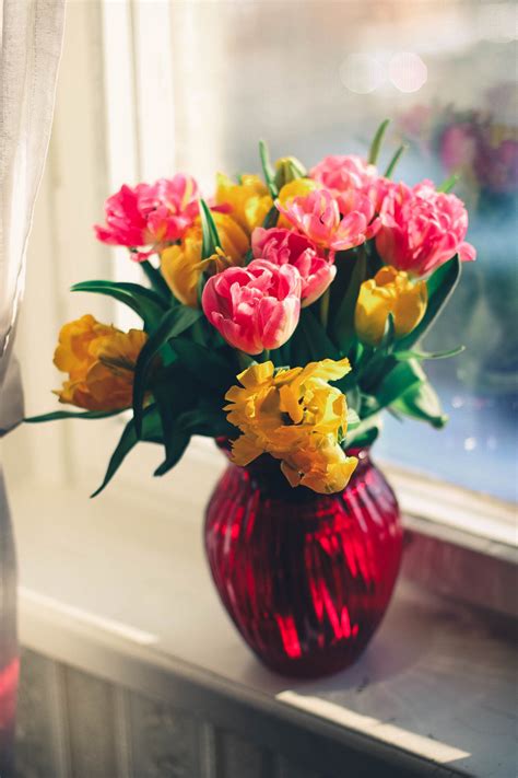 Maybe you would like to learn more about one of these? Pink and Yellow Petaled Flower on Red Glass Vase · Free ...