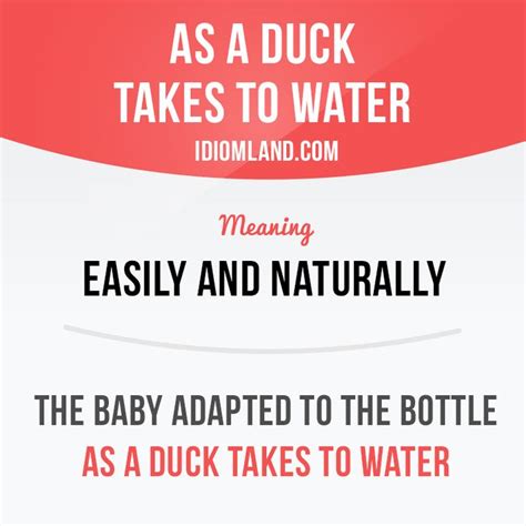 As A Duck Takes To Water Means Easily And Naturally Example The