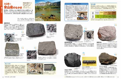 岩石・鉱物・化石 小学館の図鑑neoシリーズ 小学館