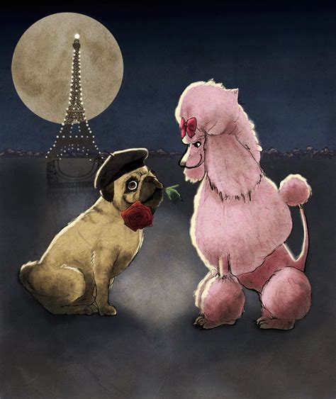 Mr Pug And Mrs Poodle In Paris Cute Pug Pictures Pet Dogs Dog Cat