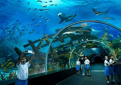 Oceanarium Singapore Underwater World Photo Description History