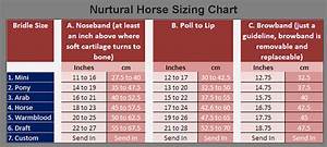 How Do I Measure My Horse Nurtural Horse Bitless Bridles
