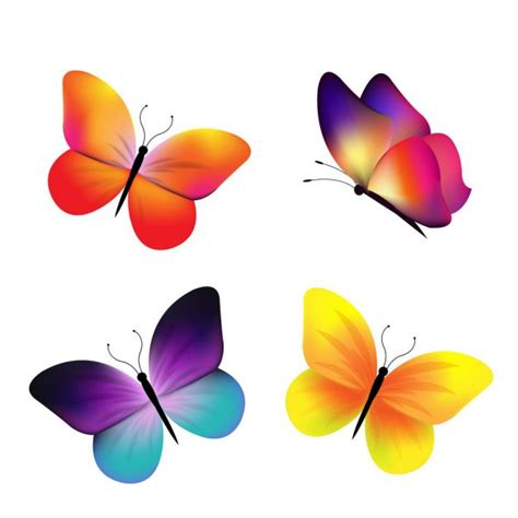 Butterfly Icon Set — Stock Vector © Adamson 6864355
