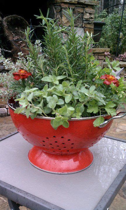 Colander Container Garden Great Idea To Plant A Salad Bowl Garden With