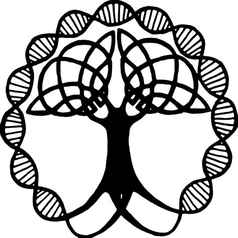 Tree Of Life Transparent Free Image On Pixabay
